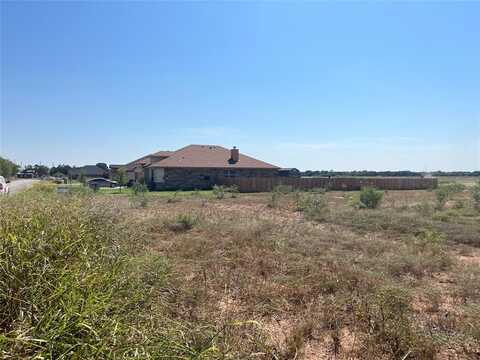 133 Skyview Drive, Early, TX 76802
