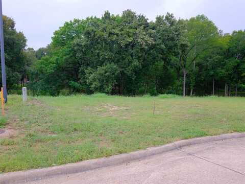 2414 Summer Brook Court, Cedar Hill, TX 75104