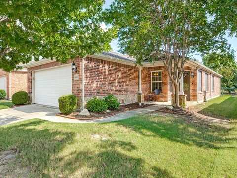 1649 Antelope Hills Drive, Frisco, TX 75036