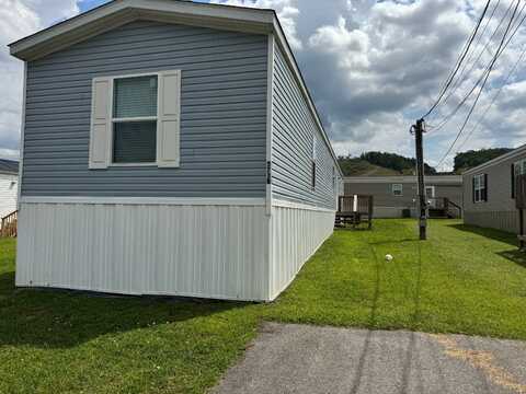 573 Banjo Way, Newport, TN 37821