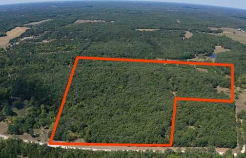 15996 County Rd 339, Cross Timbers, MO 65668