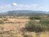4400 Este Rd, Terlingua, TX 79852