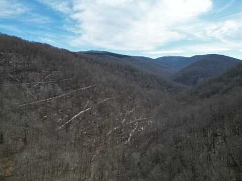 0 TBD Elleber Sods Rd, Bartow, WV 24920
