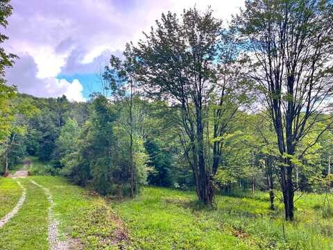 7801 Sky Ranch Rd, East Otto, NY 14729