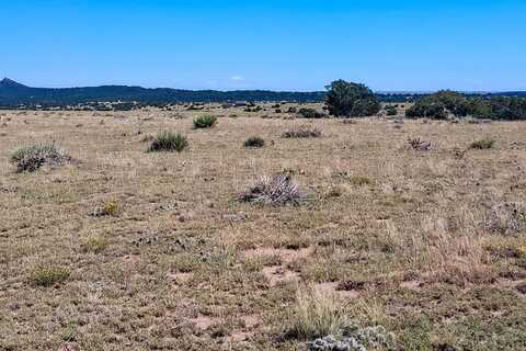 undefined, Walsenburg, CO 81089