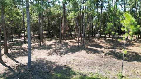 000 Falling Brook Ct, Pace, FL 32571