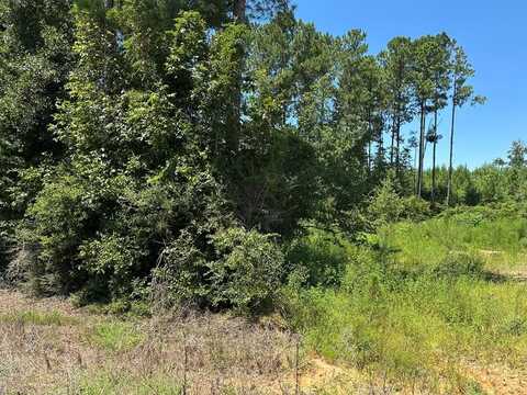 0 Alabama Highway 125, Jack, AL 36346