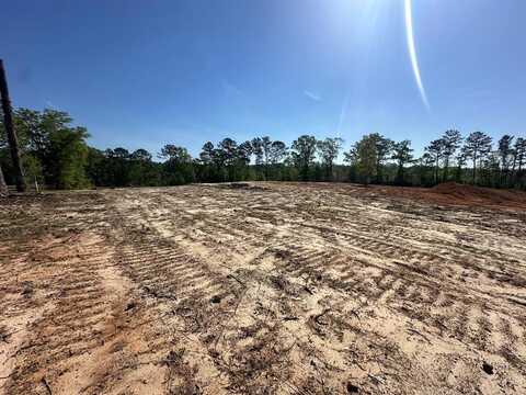 000 Alabama Highway 125, Jack, AL 36346