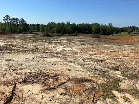 00 Alabama Highway 125, Jack, AL 36346