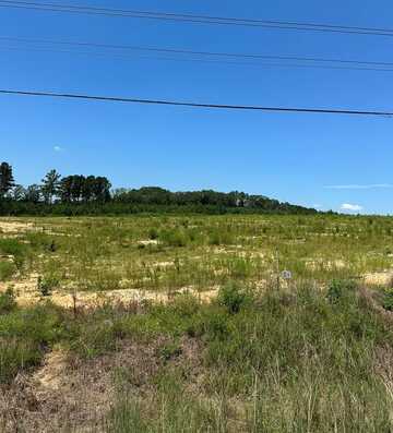 Lot 4 AL Highway 125, Jack, AL 36346