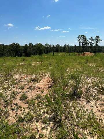 Lot 5 AL Highway 125, Jack, AL 36346