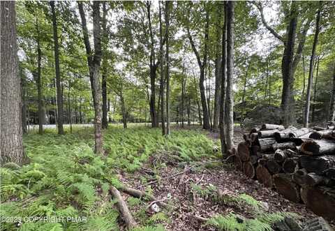Park Ave 38 Avenue, Mount Pocono, PA 18344