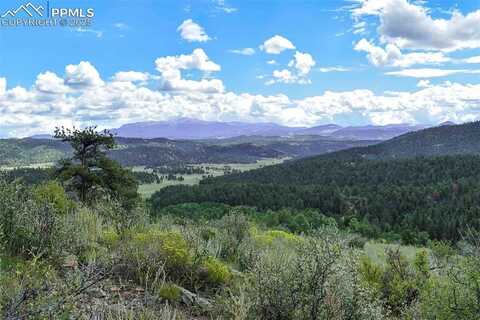 231 Deer Lane, Guffey, CO 80820