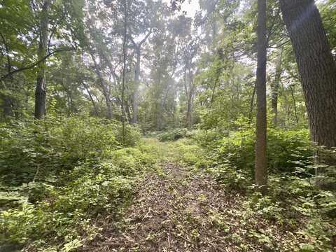 14094 Three Mile Road Lot A, THOMSON, IL 61285