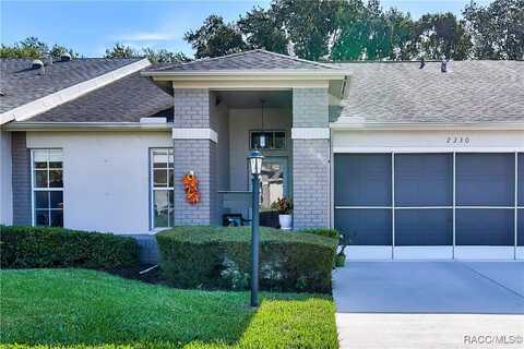2230 Dove Hollow Drive, Spring Hill, FL 34606