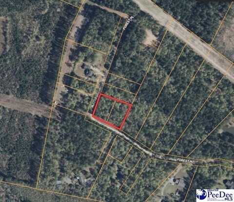 Lot A Forest Place, Marion, SC 29571