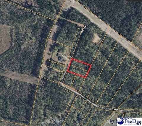 Lot B Forest Place, Marion, SC 29571