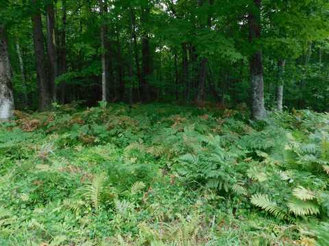 W SHAY LAKE Lane, POUND, WI 54161