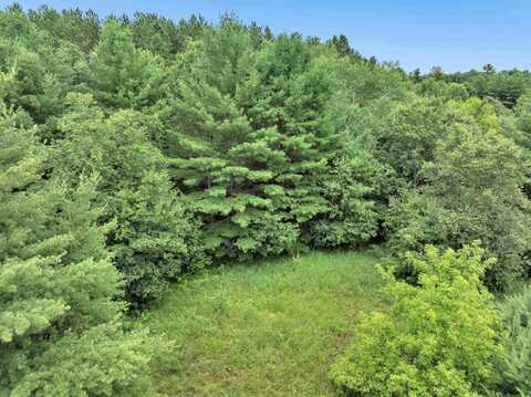 6974 WOODLAND Lane, AMHERST, WI 54406