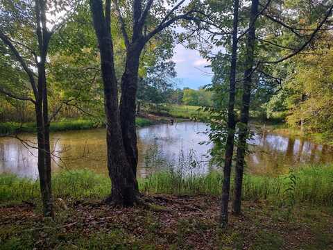 11.3 Acres Summer City Rd, Pikeville, TN 37367