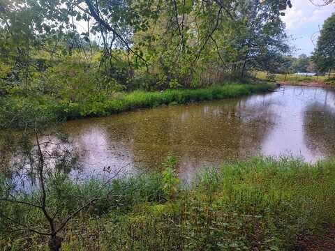 11.3 Acres Summer City Rd, Pikeville, TN 37367
