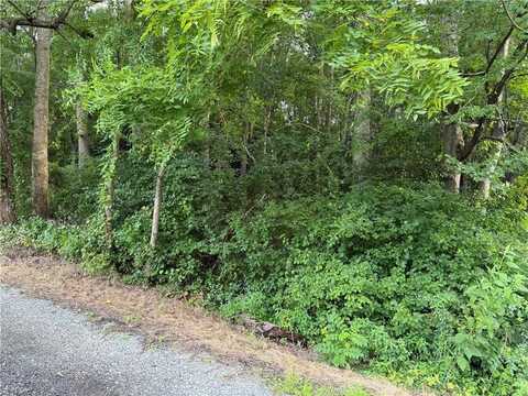 1.00AC Clay Bank Road, Gloucester, VA 23061