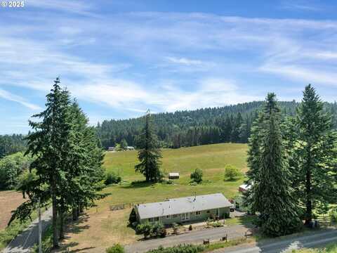 21000 SW FINNIGAN HILL RD, Hillsboro, OR 97123