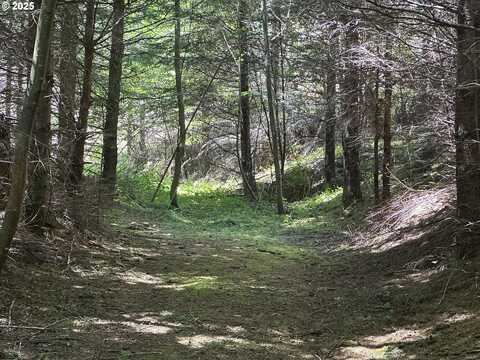 0 Glenn Creek RD, Allegany, OR 97407