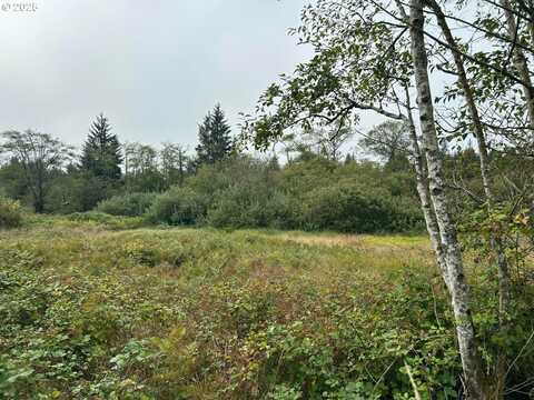 TL2400 Alderbrook Rd, Tillamook, OR 97141