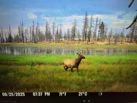40 acres Mud Lake, MacDoel, CA 96058