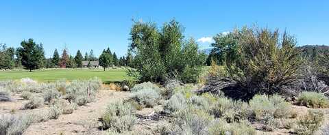 Barber Ct. Lot 39, Weed, CA 96094
