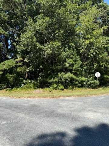 Lot 111 DAVEY JONES BLVD, GREENBACKVILLE, VA 23356