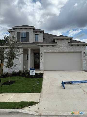 164 Basket Flower Loop, Kyle, TX 78640