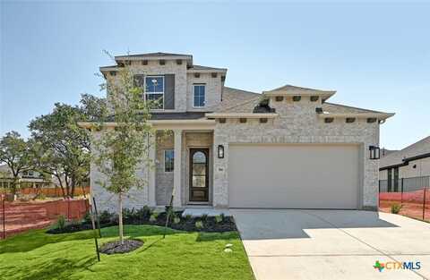 164 Basket Flower Loop, Kyle, TX 78640