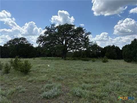 Tbd Deer Run Court, Evant, TX 76525