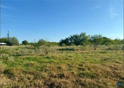 817 Mcadams Road, Goliad, TX 77963