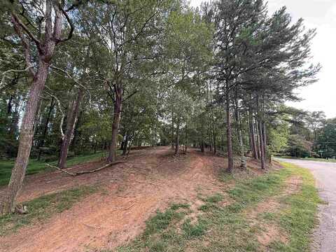 276 Saranac Drive, Spartanburg, SC 29307