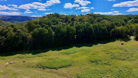 Tbd Conover Ln., Atkins, VA 24311