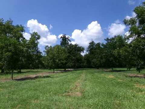 0 HWY 97, Camilla, GA 31730