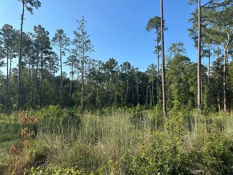 00 Hwy 111 South Tract 1, Cairo, GA 39828