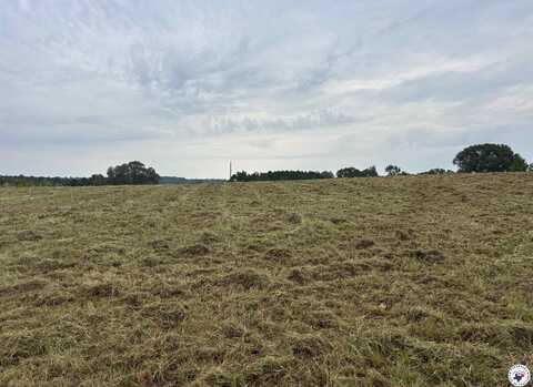 TBD 12.9 CR 1243, Linden, TX 75563
