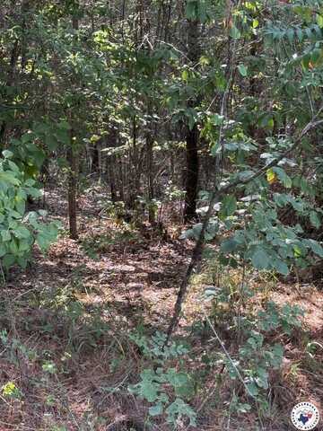 TBD T 4 PR 1064, Fouke, AR 71837