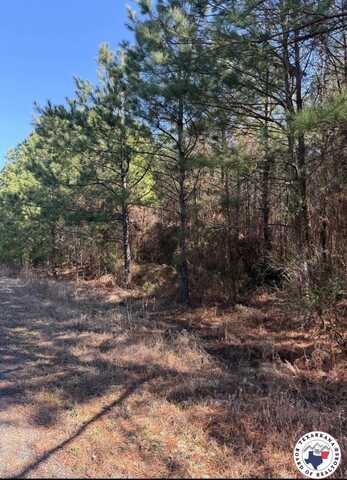 TBD T2 PR 1064, Fouke, AR 71837