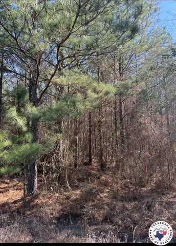 TBD T 3 PR 1064, Fouke, AR 71837