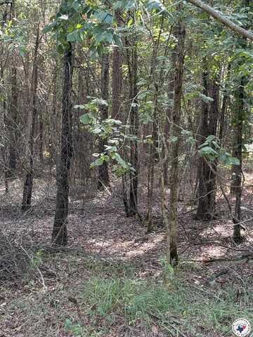 TBD  T 1 PR 1064, Fouke, AR 71837