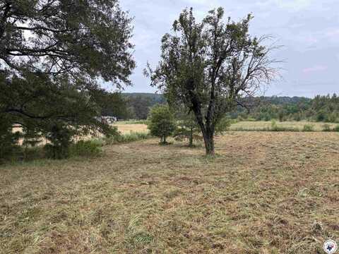 TBD 12.49 CR 1243, Linden, TX 75563