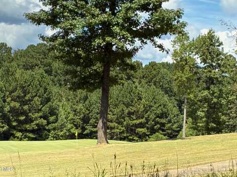 44 Sweet Meadow Lane, Pittsboro, NC 27312