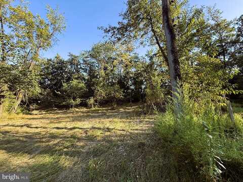 SAPWOOD, HEDGESVILLE, WV 25427