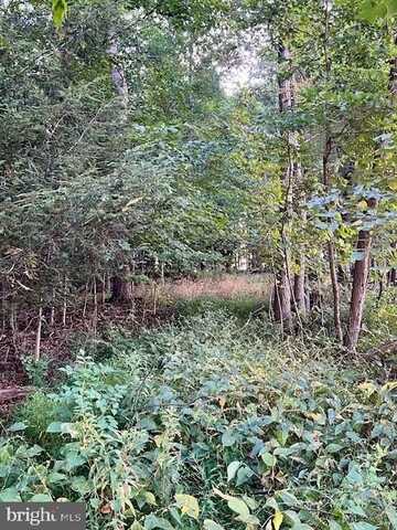 MCCOYSVILLE ROAD, HONEY GROVE, PA 17035