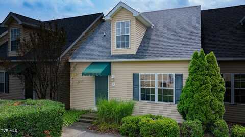 14 Province Drive, Gray, TN 37615